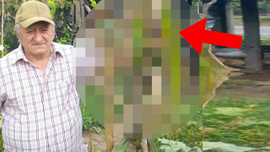 Samsun'da oldu! Akıl almaz olay! Resmen kıyamet alameti