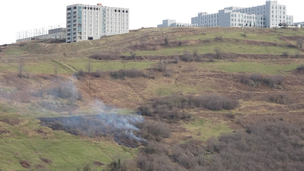 Samsun’da örtü yangını 
