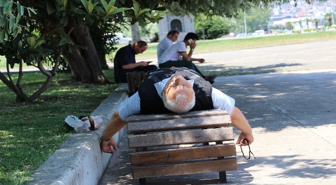 Samsun’da sıcaktan bunalanlar gölgeye sığındı