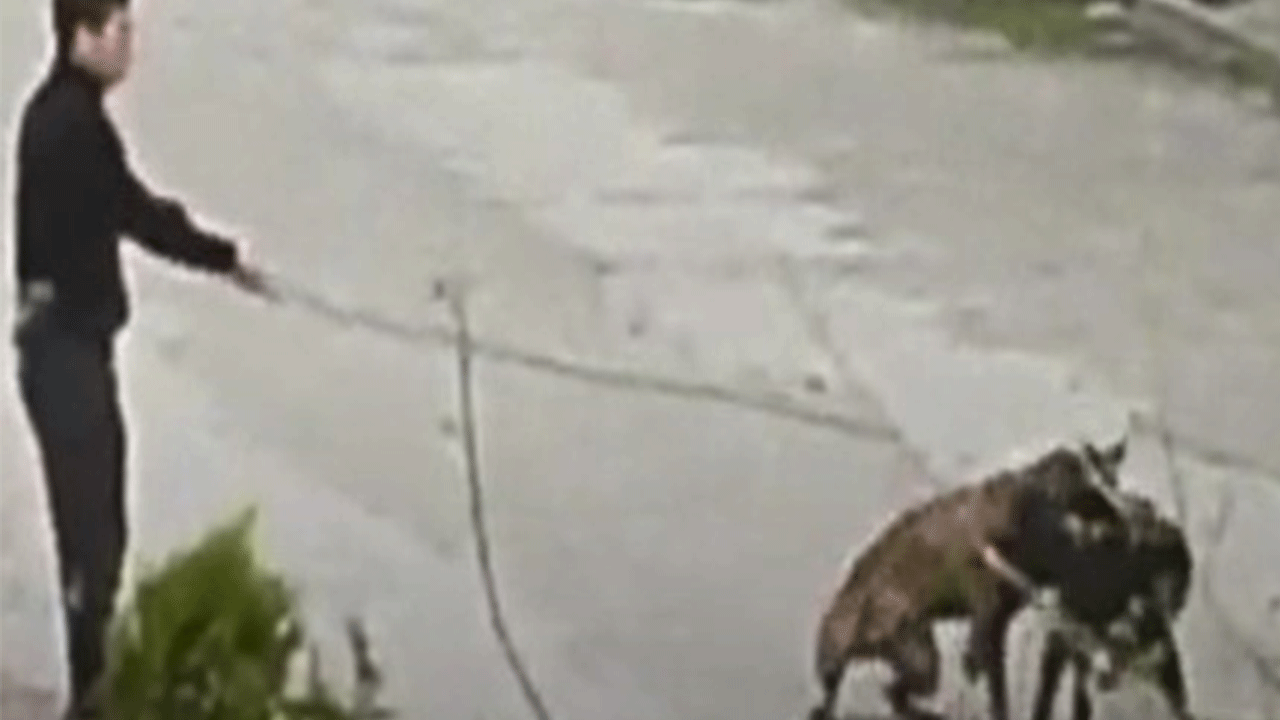 Samsun'da tepki çeken görüntüler!