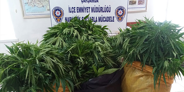 Samsun'da uyuşturucu operasyonu