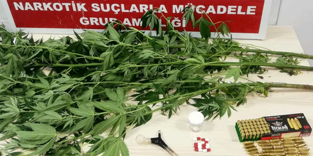 Samsun'da uyuşturucu operasyonu