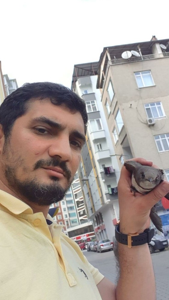 Samsun’da vatandaşlar tarafından bulunan ebabil kuşu doğaya salındı 