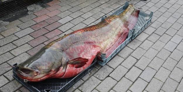 Samsun'da yakalandı!