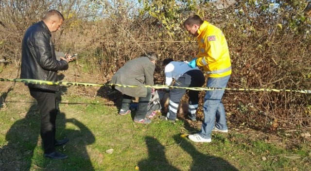 ​Samsun'da yaşlı adam tarla kenarında ölü bulundu
