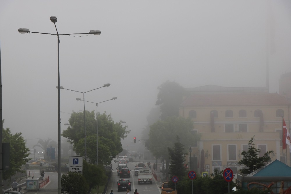 Samsun’da yoğun sis 