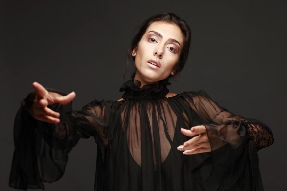 Sanatçı Aslı Sevi: 