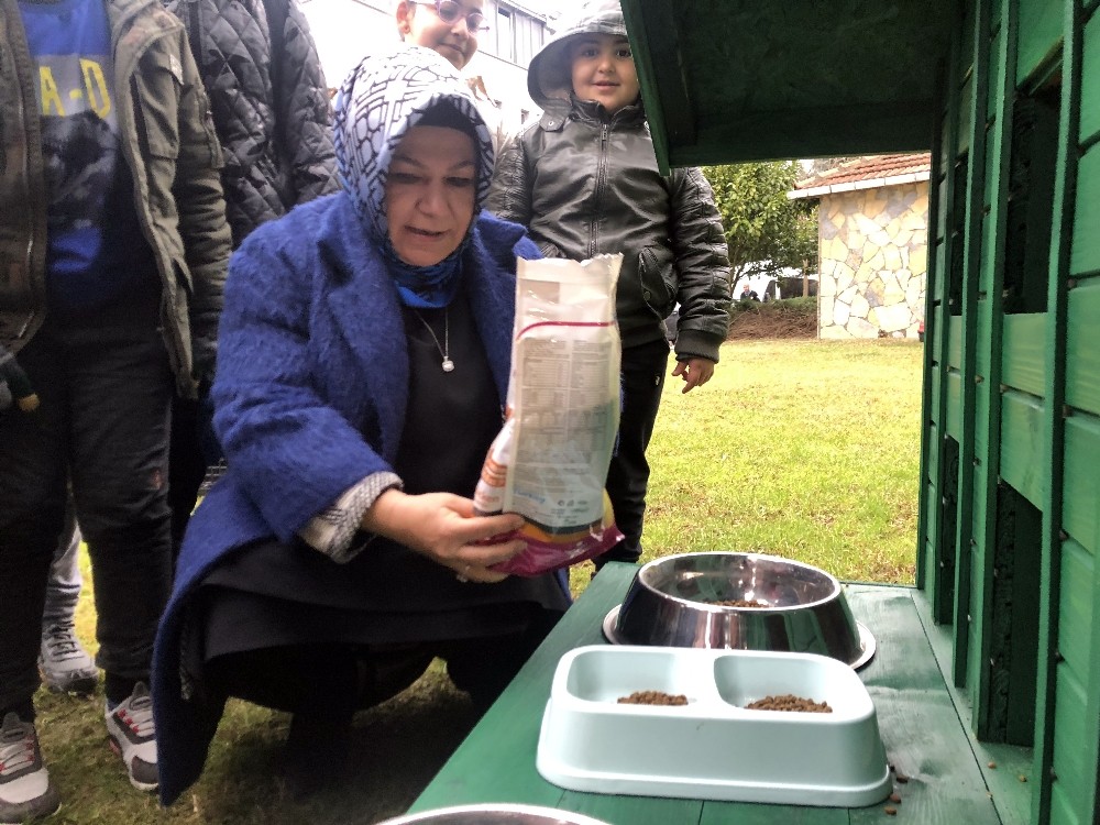 Sancaktepe’de soğuk havadan korunmaları için kedilere ev 