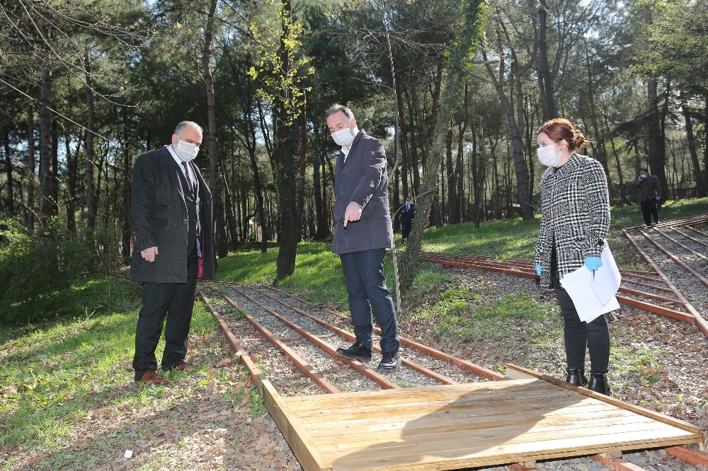 Sandıkçı: 