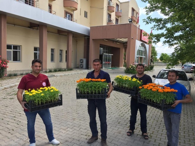 Sandıklı Belediyesi kamu kurumlarına 9 bin çiçek dağıttı 