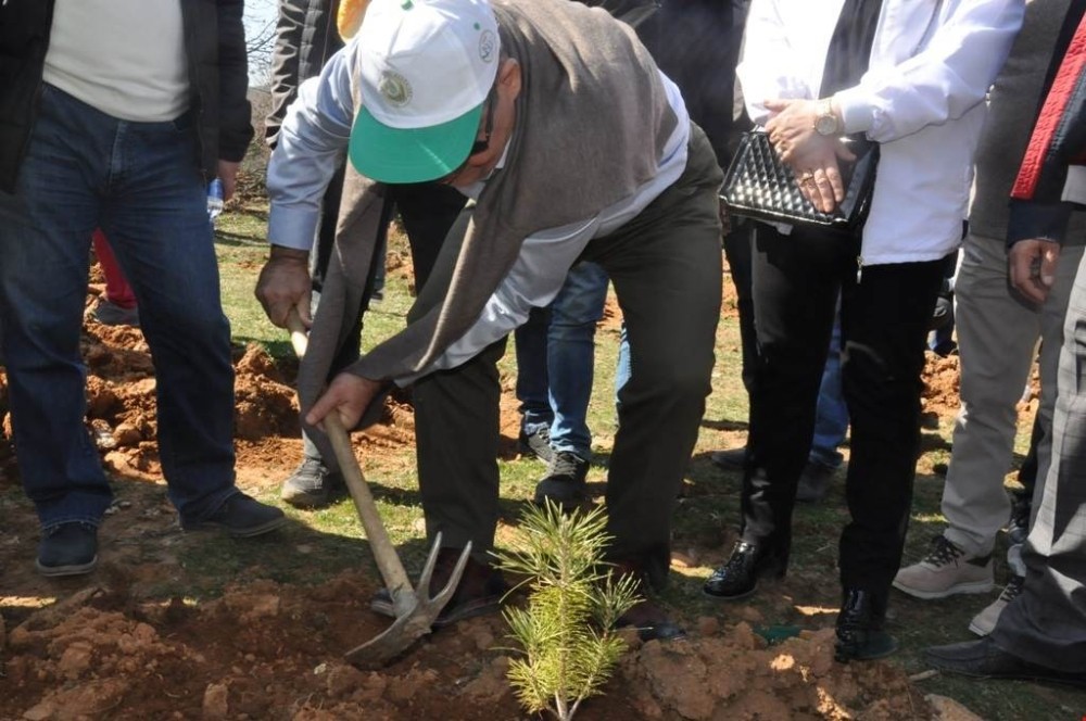Sandıklı’da fidanlar toprakla buluştu 