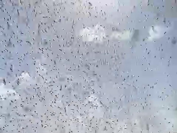 Saniye saniye kaydedildi! Dikkatli bakın bu yaşanan hortum değil