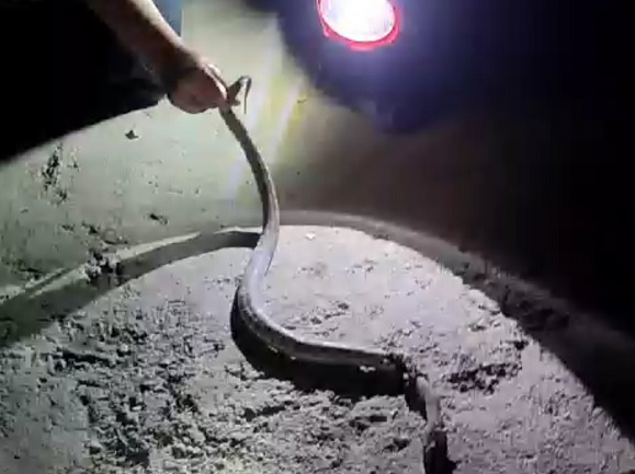 Saniye saniye kaydedildi! O ilde korku dolu anlar