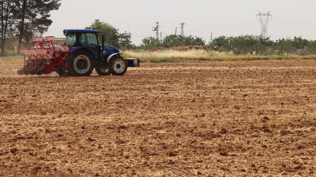 Şanlıurfa: Bereketin gelecekle bulutuğu şehir