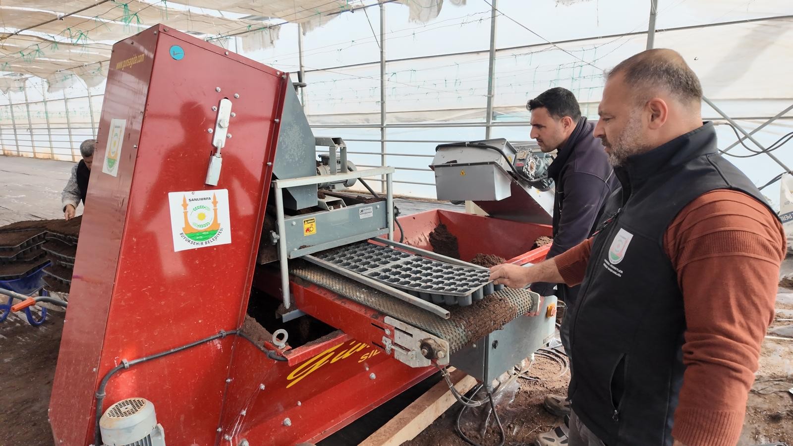 Şanlıurfa Büyükşehir Belediyesi 1 milyon fide üretiyor