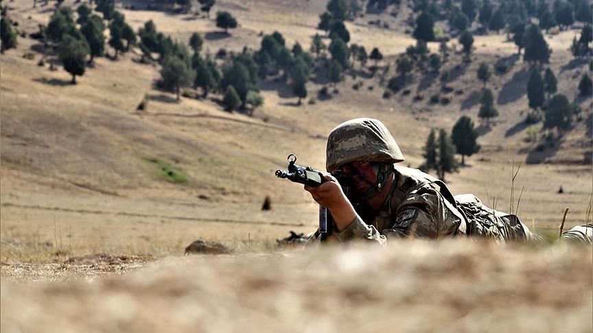 Şanlıurfa - Ceylanpınar'da bir terörist yakalandı