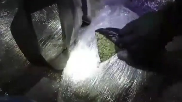 Şanlıurfa polisinden sevkıyata darbe