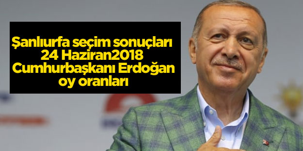Şanlıurfa 24 Haziran 2018 Cumhurbaşkanı Erdoğan oy oranları
