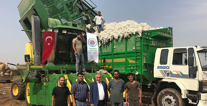 Şanlıurfa Viranşehir’de pamuk hasadı başladı