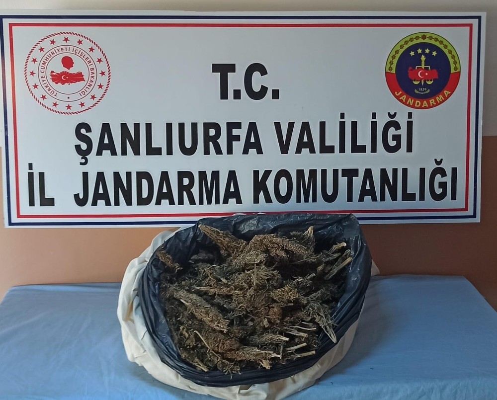 Şanlıurfa’da 10 kilo esrar ele geçirildi 