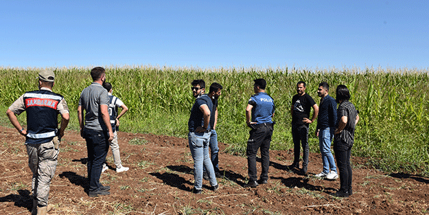 Şanlıurfa'da 17 yabancı uyruklu yakalandı