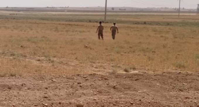 Şanlıurfa'da arazide erkek cesedi bulundu