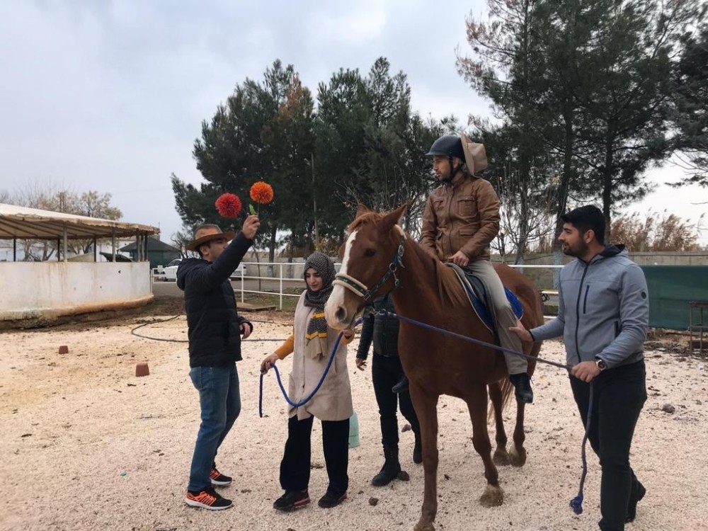 Şanlıurfa’da atlı terapi antrenörlük eğitimi 