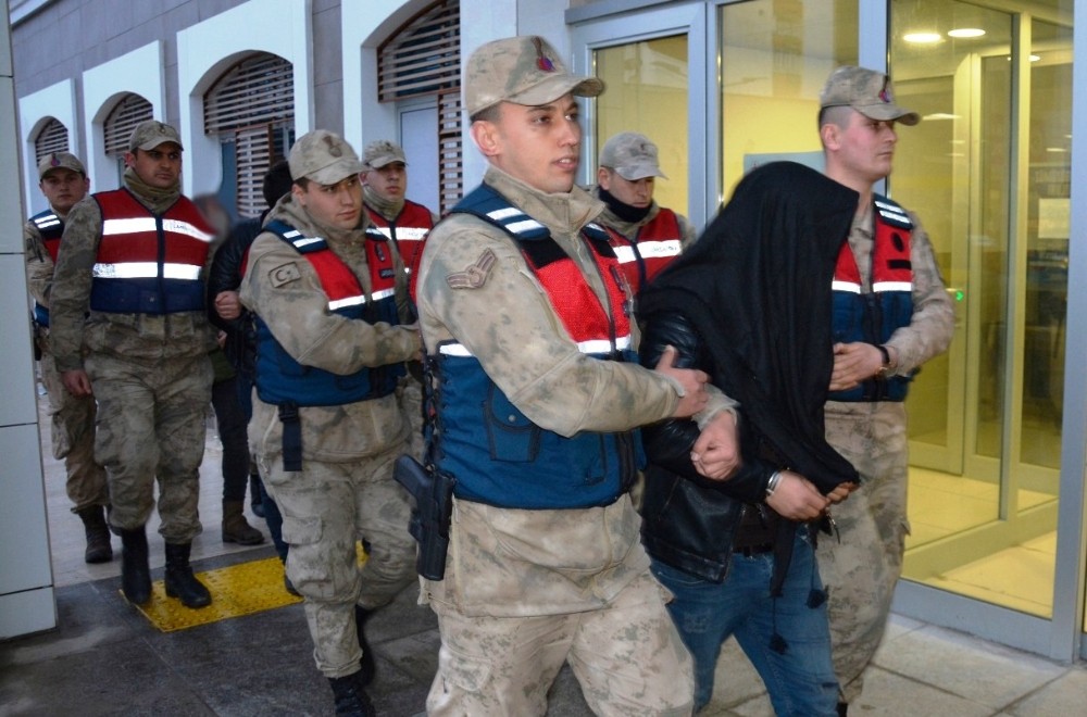 Şanlıurfa’da hayvan hırsızlığı: 4 tutuklama 