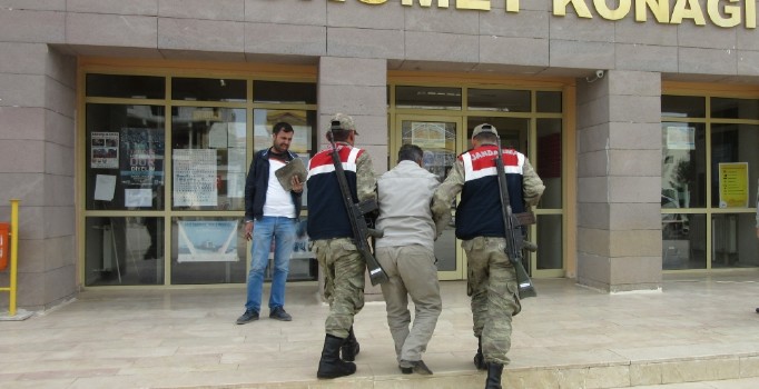 Şanlıurfa'da hayvan hırsızlığına 6 tutuklama | Son dakika haberleri