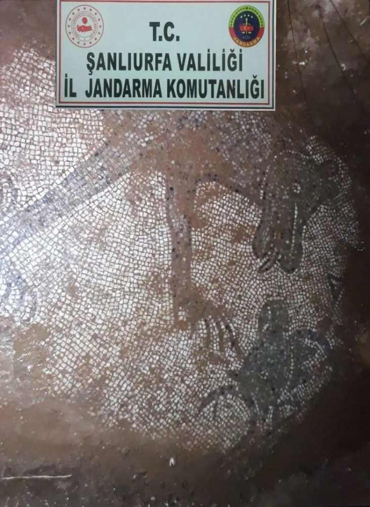 Şanlıurfa´da izinsiz kazıda Roma dönemine ait mozaikler ortaya çıktı 