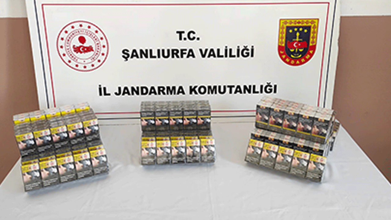 Hassas burunlu köpekler devredeydi