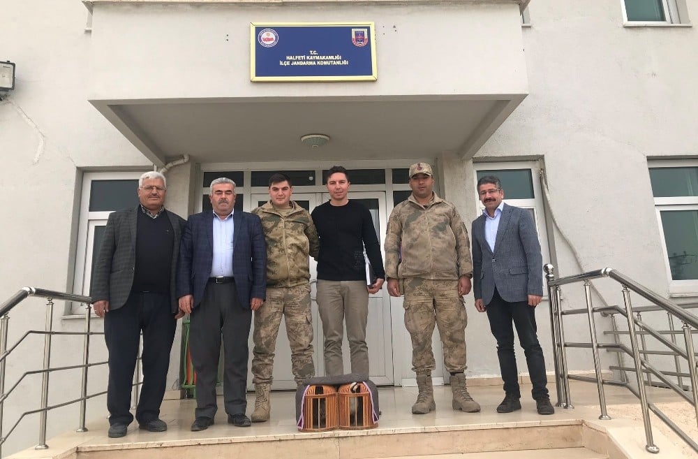 Şanlıurfa’da kaçak avcılara suçüstü 