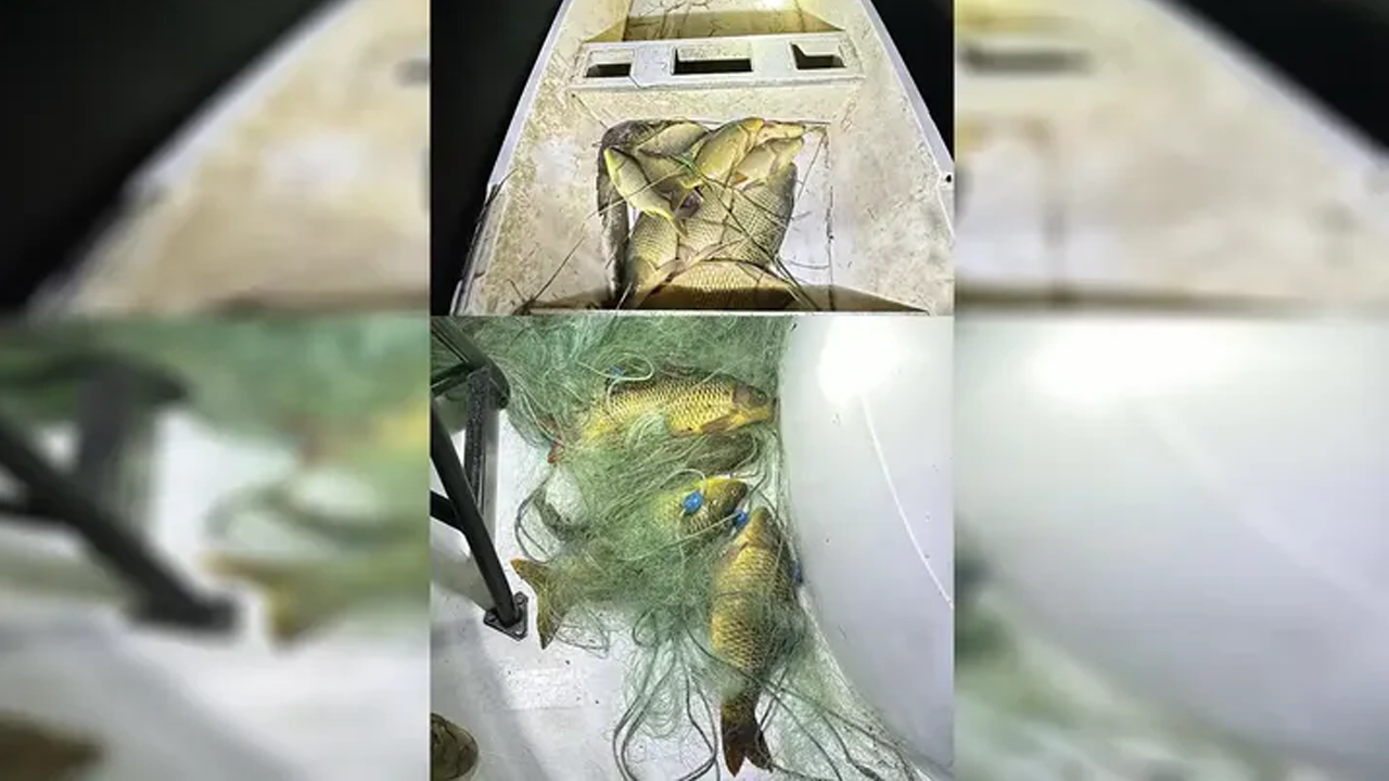 Şanlıurfa’da kaçak balık avlayan balıkçılara ceza yağdı