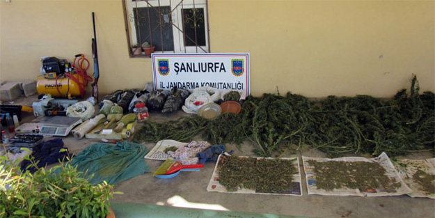 Ev, tarla ve araçlarından çıkanlar şaşırttı