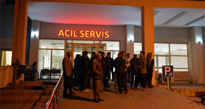 Şanlıurfa'da kadın cesedi bulundu!