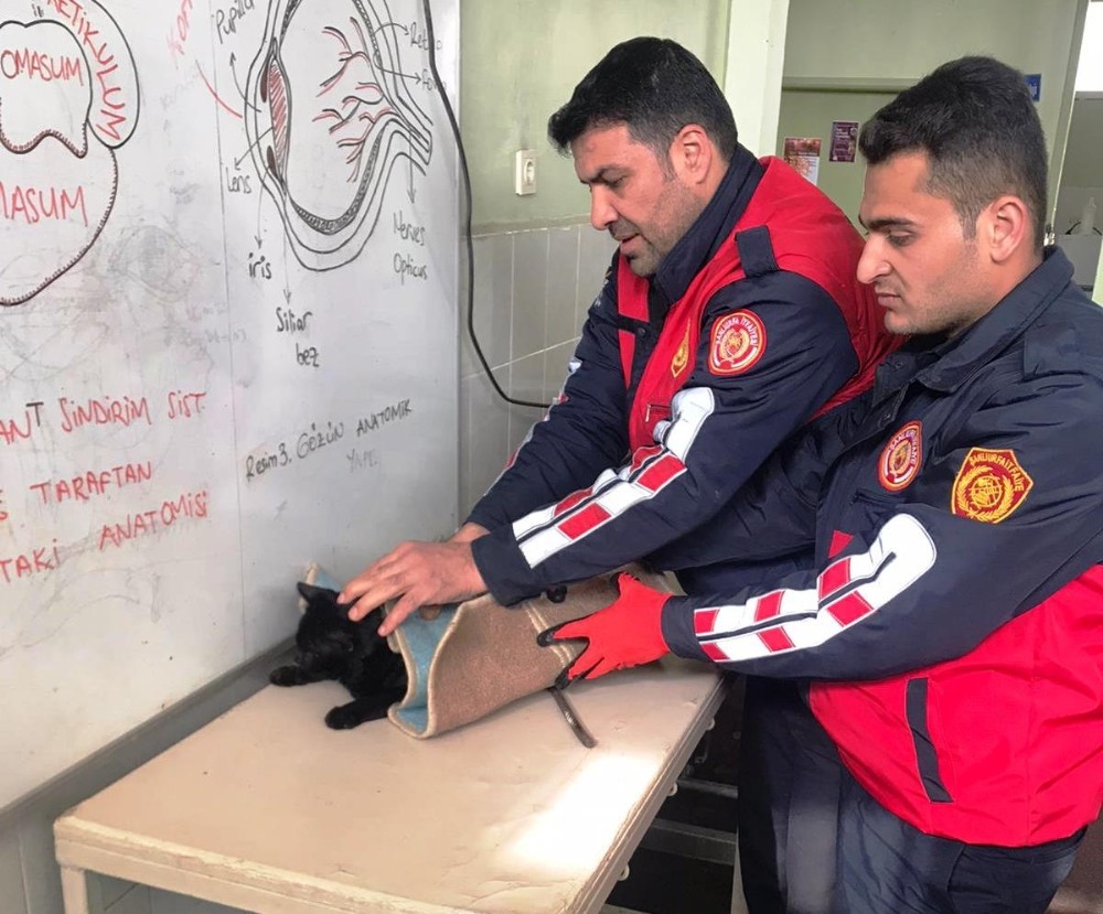 Şanlıurfa’da kedi kurtarma operasyonu 
