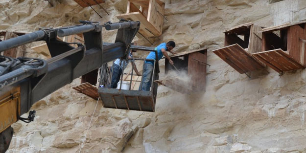 Şanlıurfa'da kelaynakların yuvaları yenilendi