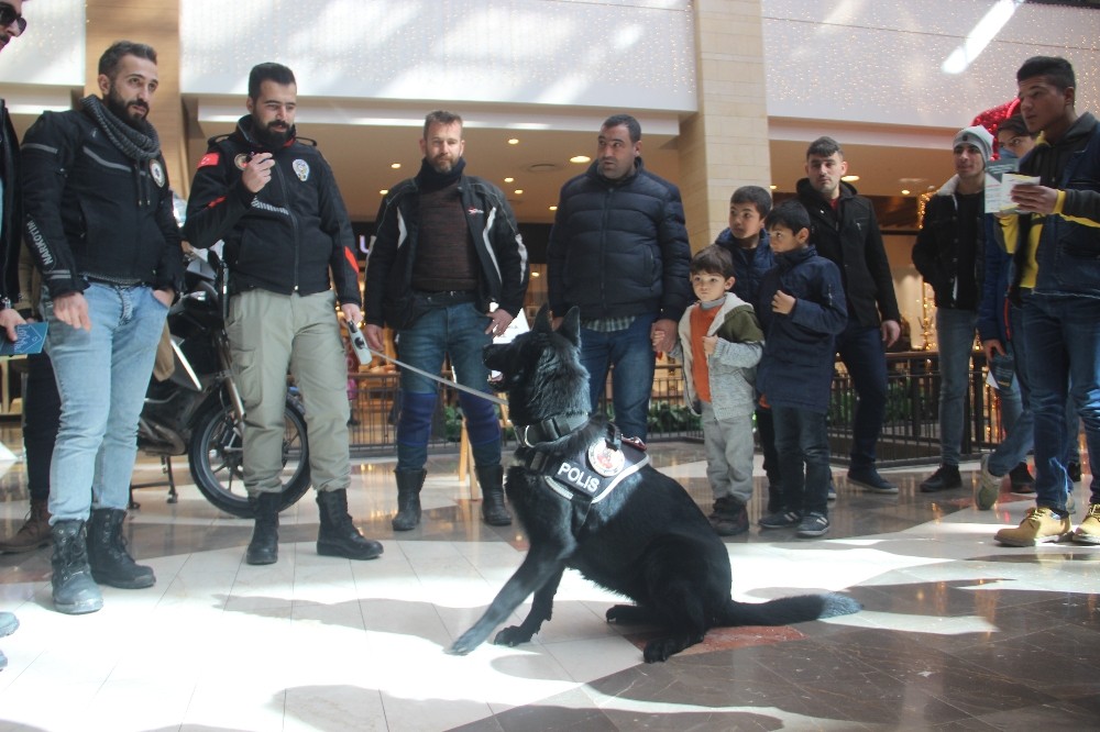 Şanlıurfa’da narkotik köpeği ’Kyra’ ilgi odağı oldu 