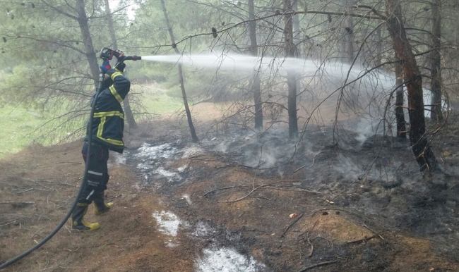 Şanlıurfa'da ormanlık alanda yangın