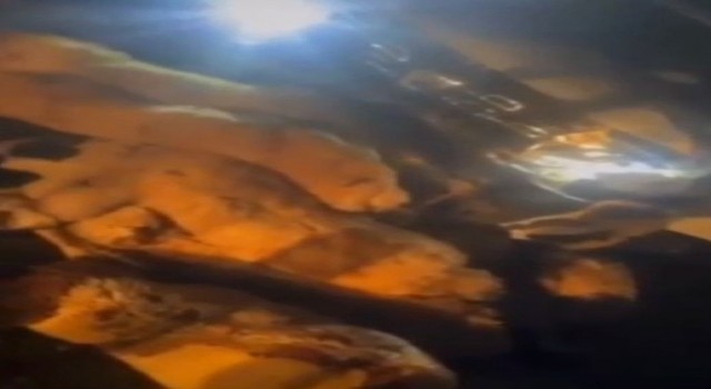 Şanlıurfa'da otomobil koyun sürüsüne daldı: 20 koyun telef oldu