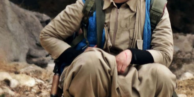 Şanlıurfa'da PKK/KCK/PYD-YPG üyesi bir terörist yakalandı