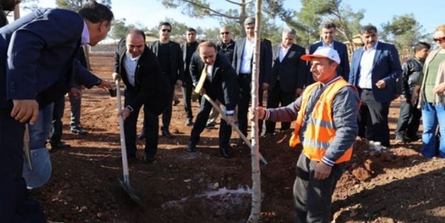 Şanlıurfa'da 'Şehrimi Seviyorum, Ağacımı Dikiyorum' kampanyası devam ediyor