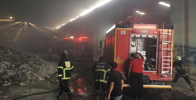 Şanlıurfa'da sigara izmariti fabrikayı yaktı