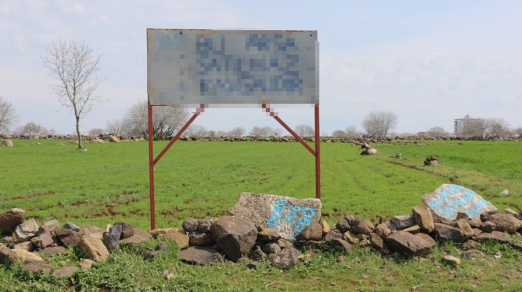 Şanlıurfa'da tarladaki tabelayı gören bir daha bakıyor!