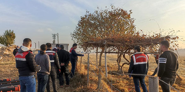 Şanlıurfa’da toprağa gömülü tam 1250 adet...