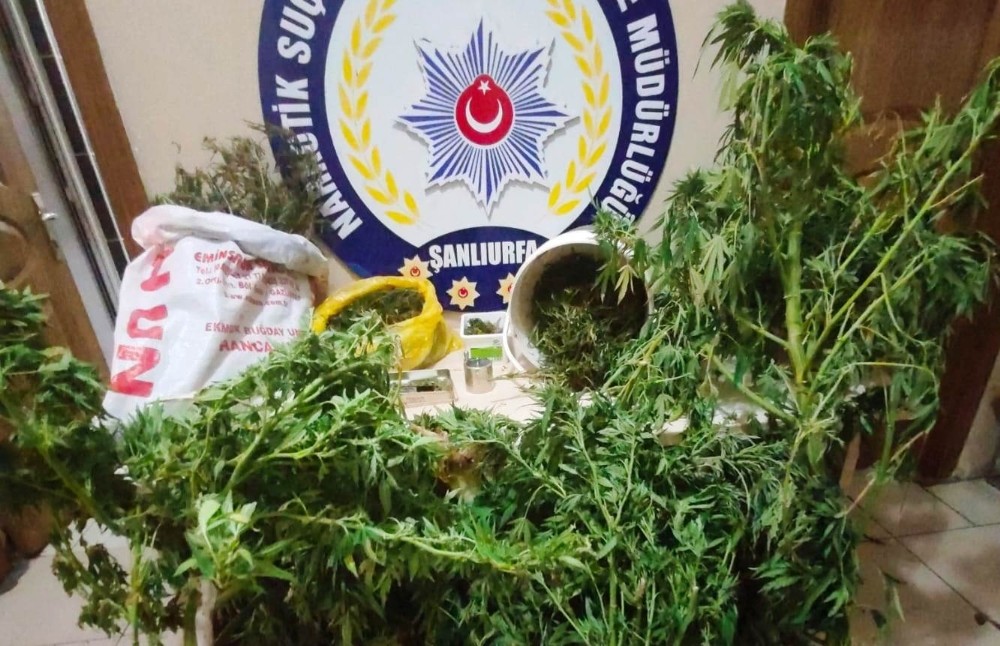 Şanlıurfa’da uyuşturucu operasyonu 