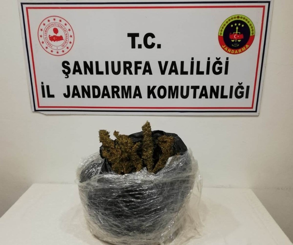 Şanlıurfa’da uyuşturucu operasyonu: 2 tutuklama 
