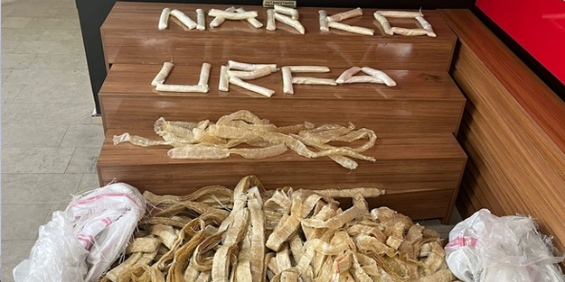 Şanlıurfa'da uyuşturucu operasyonu: 4 gözaltı