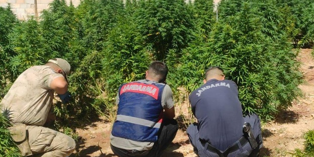 Şanlıurfa'da uyuşturucu operasyonu!