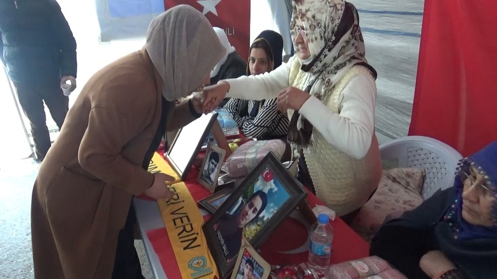 Şanlıurfa’dan evlat nöbetindeki ailelere destek ziyareti 